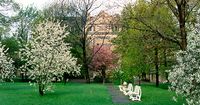 Parksicht auf das Eitingon-Haus